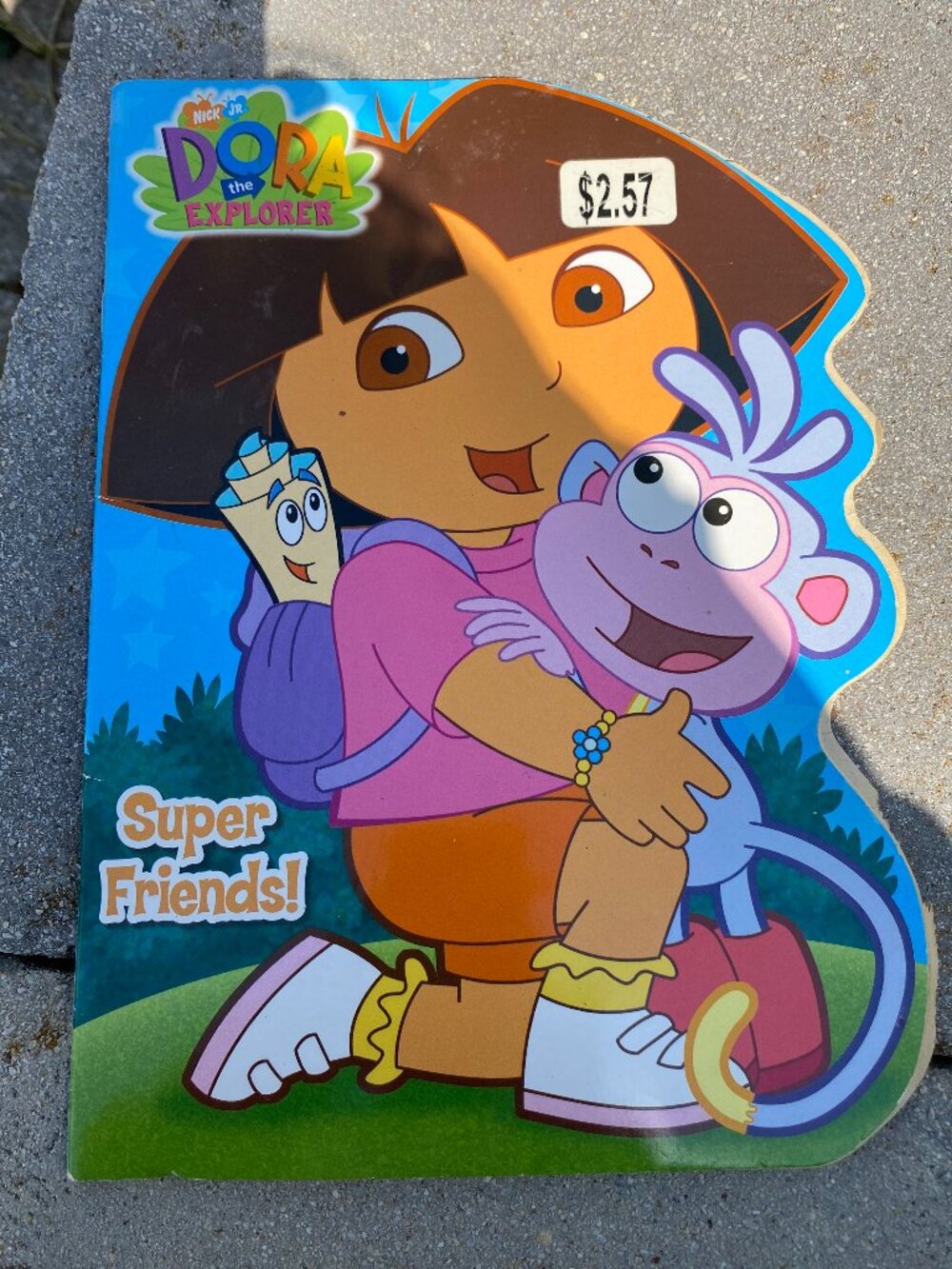 Dora the Explorer Kids Coloring Book- Pages shown have been used, rest are new